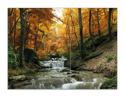 Produktbild von Wallario Herdabdeckplatte aus Glas, Größe 70 x 52 cm 2-teilig, Motiv Kleiner Bach über Steine im Herbstwald