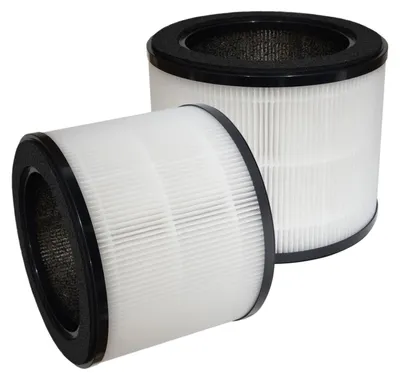 Image de Filtre HEPA de remplacement pour Coway Airmega 100, lot de 2