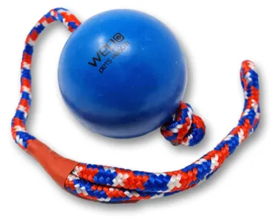Image de Jouets pour chiens - Balle robuste avec corde