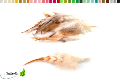Produktbild von 20 Hahnenfedern CHINCHILLA ca. 8-13cm, Farbauswahl:natur rotbraun