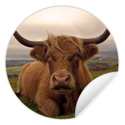 Produktbild von MuchoWow® Runde Wandtattoo - Wandsticker Tapete Aufkleber Schottischer Highlander - Tiere - Berg Ø 50 cm Selbstklebend und Repositionierbar - Wandaufkleber - Kreis - Wand Kreis - Wand Bild - Foto Tapete - Selbstklebende - Wohnzimmerdekoration - Wand Dekoration - Kinderzimmer