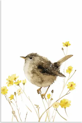 Produktbild von ARTland Wandbild Alu für Innen & Outdoor Aquarell Zaunkönig Größe: 20x30 cm