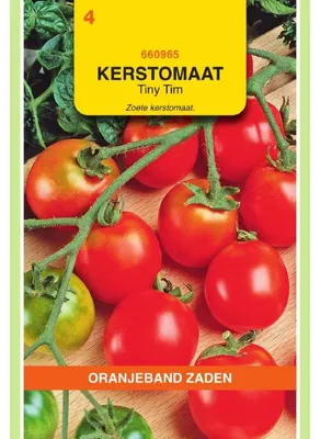 Obrázek produktu pro Oranjeband – odrůda rajčat Tiny Tim – 1 balení semen