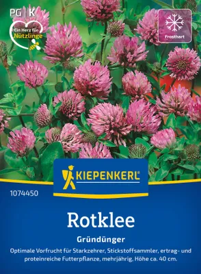 Artikelbild 2 von 'Rotklee Wiesenklee (50 g)' aus der Kategorie Gründünger & -düngung