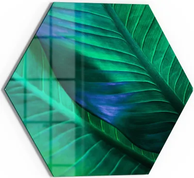 Produktbild von DEQORI Glasbild Echtglas 55x48 cm 'Tropenblattstruktur' Wandbild Bild modern Deko