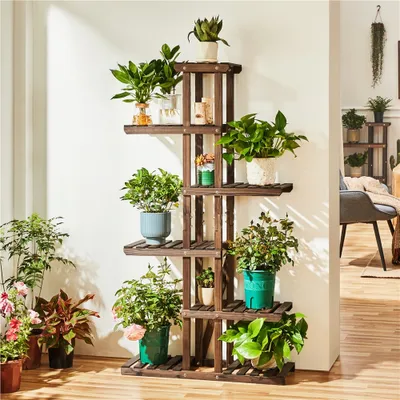 A wooden plant stand with multiple shelves filled with various potted plants, placed against a white wall.