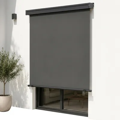 Immagine prodotto di Tenda da sole verticale Mucola 160x250 cm Tenda da sole antracite Tenda da balcone con manovella Tenda da sole laterale Protezione dal vento Tenda da sole verticale