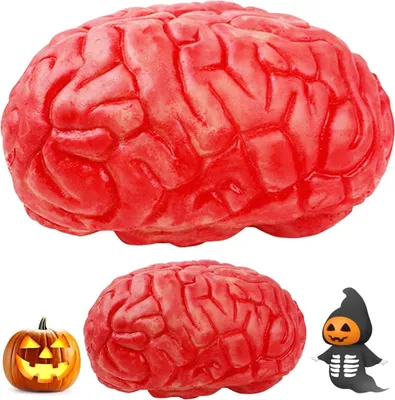 Image de Halloween Party Décoration Cerveau sanglant 2 pièces maison hantée accessoires
