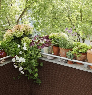 Produktbild von Polyrattan PVC Sichtschutz Matte 300x90 Balkon Zaun Windschutz hellbraun braun