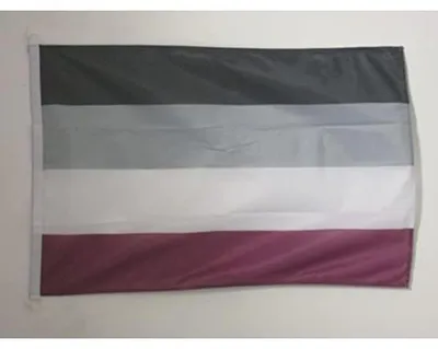 Bootvlag Asexuelle Regenbogen 90x60 cm, Polyester, mit Ringen