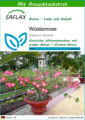 Produktbild von SAFLAX - Bonsai - Wüstenrose - 8 Samen - Mit keimfreiem Anzuchtsubstrat - Adenium obesum