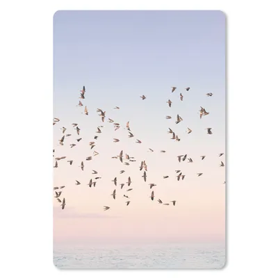 Produktbild von MuchoWow® Mauspad Mousepad Vögel - Meer - Himmel - Natur - Sommer 18x27 cm - Mousepads - Maus Mat - Pad - Mausunterlage
