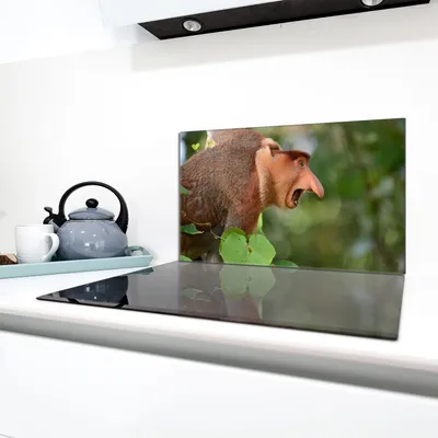 Imagen del producto de Placa de vidrio protectora para cocina, dimensiones 90x52, marca Nosacz