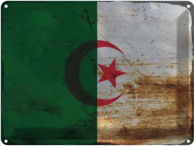 Produktbild von vianmo Blechschild 30x40 cm Algerien Algeria Flagge Fahne Wappen