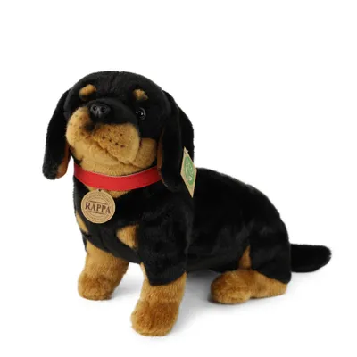 Image de Peluche Teckel Avec Collier 36 Cm Ecologique