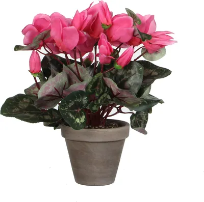 Produktbild von Mica Decorations Cyclamen Kunstpflanze im Blumentopf Stan - H30 x Ø30 cm - Hellrosa
