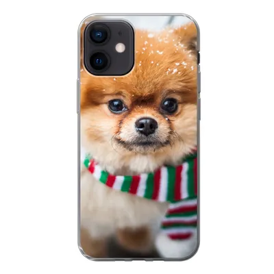 Produktbild von MuchoWow® Handyhülle Schutzhülle Hülle für iPhone 12 Hund - Halstuch - Schnee Silikon Softcase Handy Hülle - Schutzhülle