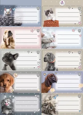 Zdjęcie produktu dla Naklejki na zeszyt Sweet Pets