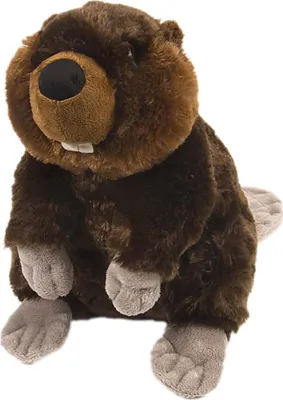 A plush toy beaver sitting on a white background.