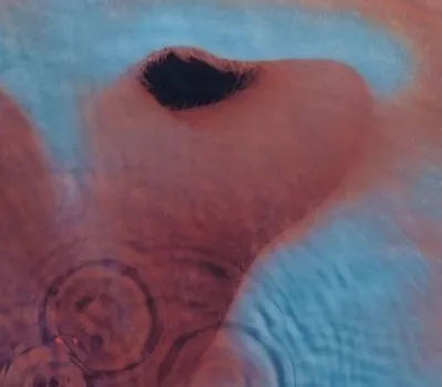 Abstract image with swirling colors and circular ripple patterns.
