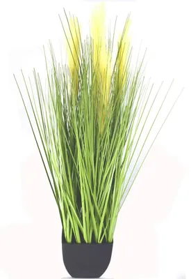 Produktbild von Dekopflanze 95cm Ufergras im 18cm Topf Binsengras Kunstgras Dekogras Gräßer