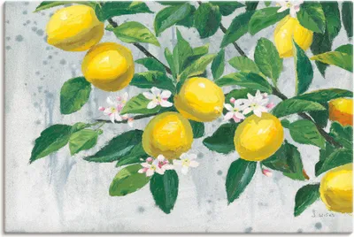 Produktbild von ARTland Leinwandbild Zesty Lemons Größe: 70x50 cm