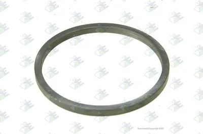 Produktbild von Euroricambi Distanzscheibe 60531951 0,061kg