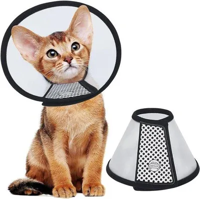 Produktbild von Katengliederband - Anpassbar - Leichtes Kegelgestell - Kunststoff - Für Katzen und Hunde (18-22 cm)