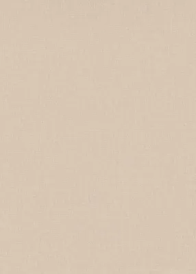 Produktbild von Erismann Vliestapete Uni apricot 10,05 x 0,53 m