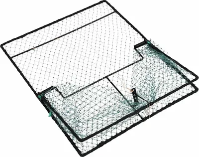 Immagine prodotto di vidaXL Trappola per uccelli verde 50 x 60 x 1,9 cm Polietilene