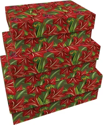 Immagine prodotto di Scatole decorative "Stella di Betlemme", 3 pezzi, Natale BN - Skona Ting