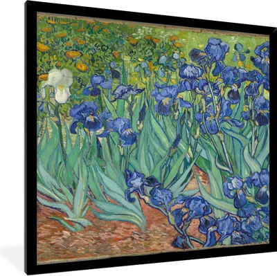 Produktbild von MuchoWow® Gerahmtes Poster Schwertlilien - Vincent van Gogh 40x40 cm - Poster mit Schwarzem Bilderrahmen Wandposter Rahmen Foto Bilder - Mit Rahmen - Wanddekoration Schlafzimmer