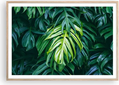 Produktbild von Gerahmtes Poster - Rahmen in heller Eiche - Blume Natur - 100x70 cm - Wand Bild - Wanddeko - Wandbilder - Kunstposter - Wandposter - Bilderrahmen - Bilder - Kunstdruck - Wandbild - P2NAA100x70-3951