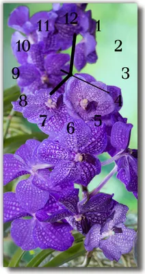 Produktbild von Tulup Glasuhr Wanduhr Küchenuhr Echt-Glas 30x60 Blumen Lila