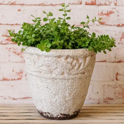 Produktbild von AltoBelli Blumentopf SIRMIONE Terracotta Antik Beige 18x18 cm