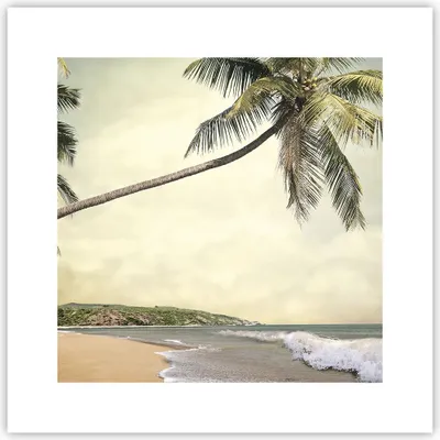 Produktbild von Poster - Poster ohne Rahmen - Palme Strand Insel - 30x30 cm - Wand Bild - Wanddeko - Wandbilder - Kunstposter - Wandposter - Bilder - Kunstdruck - Wanddekoration - Wandbild - P2XAC30x30-4154