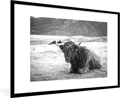 Produktbild von MuchoWow® MuchoWow® Gerahmtes Poster Schottisches Hochlandrind - Berg - Tiere 90x60 cm - Poster mit zchwarzem Bilderrahmen - Wanddekoration - Fotos