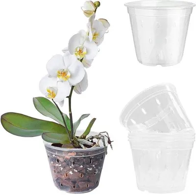 Immagine prodotto di Vasi per orchidee trasparenti, set da 5, 12 cm, in plastica