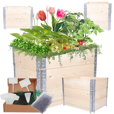Produktbild von MODO24 Hochbeet Holz, Pflanzrahmen, Kräuterbeet, Gemüsebeet, Massivholz Kiefer, Garten, 60x60x80 cm, Natur unbehandelt, ZP10