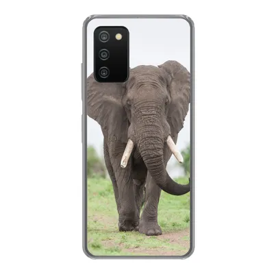 Produktbild von MuchoWow® Handyhülle Schutzhülle Hülle für Samsung Galaxy A03s Elefant - Tiere - Gras - Natur Silikon Softcase Handy Hülle - Schutz