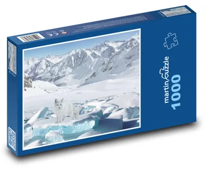 Produktbild von Puzzle 1000 Fuchs auf dem Gletscher - martinpuzzle