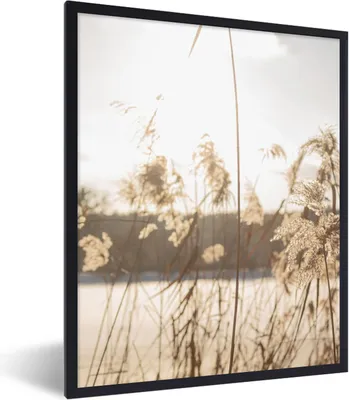 Produktbild von MuchoWow® Gerahmtes Poster Wasser - Pampasgras - Pflanzen 60x80 cm - Poster mit Schwarzem Bilderrahmen Wandposter Rahmen Foto Bilder - Premium - Wanddeko Wohnzimmer
