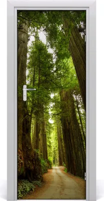 Produktbild von Tulup Türaufkleber 75x205 cm Dekorative Aufkleber Selbstklebend Wasserdichte Tapete Abnehmbar Schlafzimmer Wohnzimmer Wohnkultur - Weg im Wald