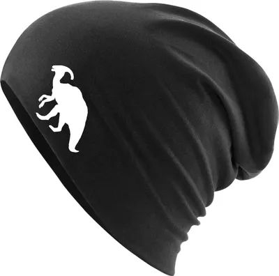 Produktbild von Huuraa Beanie Parasaurolophus Dinosaurier Black One Size Baumwolle und Elasthan Mütze Geschenkidee