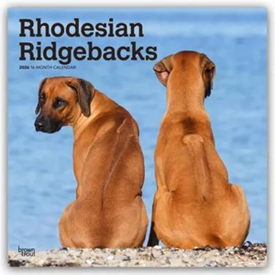 Obrázek produktu pro Rhodéští ridgebacci - Rhodéský ridgeback 2026 - 16-ti měsíční kalendář