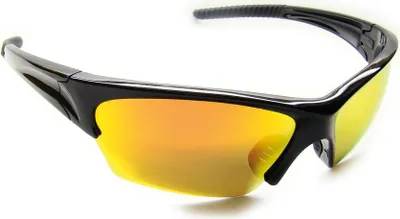 Produktbild von Behr Polarisationsbrille Cape-tree