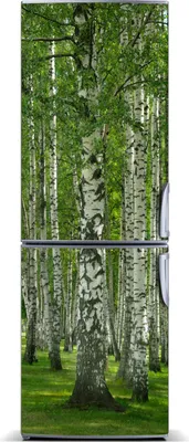 Imagen del producto de Decoración para nevera Tulup: Alfombrilla magnética, 60 cm x 180 cm. Imán para nevera, diseño "Bosque de abedules"