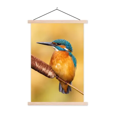 Produktbild von MuchoWow® Textilposter Eisvogel - Natur - Vogel 40x60 cm mit holzfarbenen Rahmen - Poster