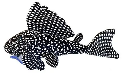 Productafbeelding van CeramicNature Famous Pleco Plush knuffel