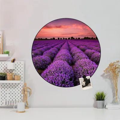 Produktbild von Design Stahlmagnettafel Schwarz Rund 47cm Lavendelfeld